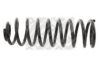 MAPCO 71907 Coil Spring